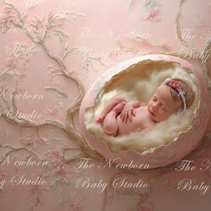 Könnte beinhalten: Ein neugeborenes Baby schläft in einer rosa-weißen, eiförmigen Requisite mit einer weißen, flauschigen Auskleidung. Das Baby trägt ein weißes Stirnband mit einer rosa Blume.