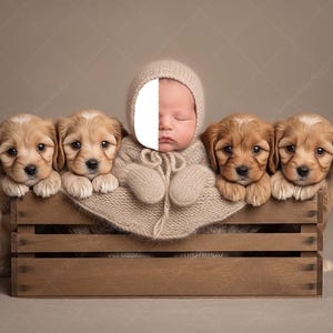 Puede incluir: Un bebé recién nacido con un conjunto de punto beige y un gorro a juego descansa en una caja de madera, rodeado de cuatro cachorros dorados. Los cachorros están colocados alrededor del bebé, creando una escena conmovedora.