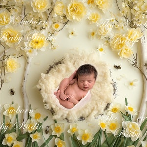 May include: A newborn baby sleeping in a white nest surrounded by yellow daffodils and white birch branches. The text "The Newborn Baby Studio" is visible in the image.