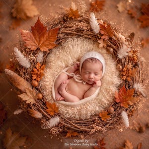 May include: A newborn baby wearing a white knit bonnet, resting inside a circular nest made of brown twigs, dried autumn leaves, and white feathers. The baby is nestled on a soft, cream-colored faux fur lining within the center of the nest.