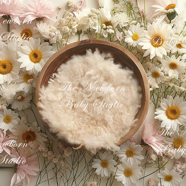 Newborn Digital Backdrop with Daisies, Newborn Digital Background, Digital Backdrop Newborn, Floral, Daisies, Spring, Girl