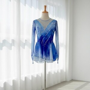 Eiskunstlaufkleid nach Maß - Blau bis Lila Ombre Eiskunstlaufkostüm Bild 1