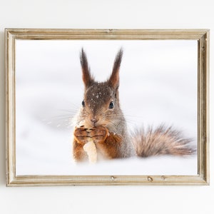 Winter Squirrel Vintage Painting: Cozy Christmas Wall Art (Digital Download)