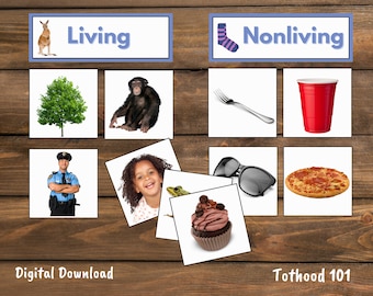 Living and Nonliving Sorting Cards: Preschool Science Activity (Digital Download)