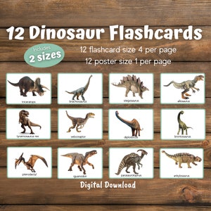 Dinosaur Flashcards, Preschool Activities, Preschool Science, Homeschool