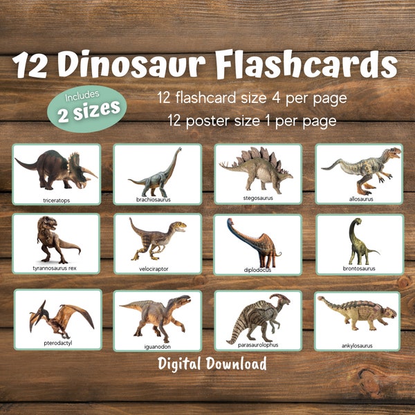 Dinosaur Flashcards, Preschool Activities, Preschool Science, Homeschool