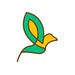 Casola