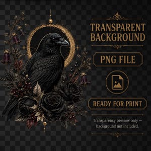 Transparent PNG preview of the gothic raven artwork with 4500 by 5400 pixel and print-ready file information.