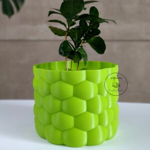 Può includere: Un vaso cilindrico verde lime brillante caratterizzato da una texture a nido d'ape esagonale in rilievo sulla superficie esterna. Una piccola pianta dalle foglie verdi è piantata all'interno. È visibile un logo circolare con il testo Printly Tech.