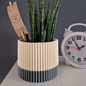 May include: A Sansevieria plant in a cylindrical, vertically ribbed planter with a cream-colored top half and a dark gray bottom half. A brown paper tag is inserted into the soil, featuring the text PrintlyTech and SANSEVIERIA.