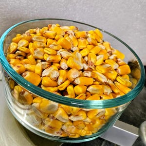 May include: A clear glass bowl filled with bright yellow corn kernels. The kernels are a mix of yellow and off-white, filling the bowl to the top. The bowl has a light blue rim and sits on a dark surface.
