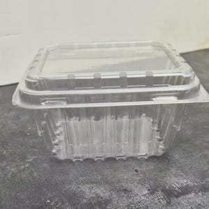 May include: A clear, rectangular plastic container with a hinged lid. The container features a ribbed design along the sides and a flat, transparent top. The structure is made of lightweight, molded plastic, designed for storage or food packaging.