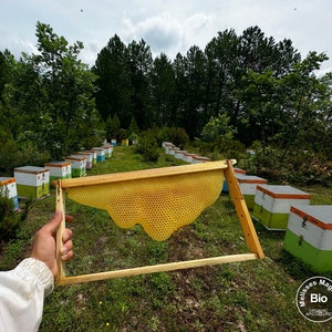 LAGE VOORRAAD Rauwe biologische honingraten met houten lijst - Natuurlijke vormen - Woondecoraties - Wandkleden - Knutselen doe-het-zelfprojecten