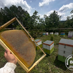 FAIBLE STOCK Nids d'abeilles biologiques bruts avec cadre en bois - Décoration d'intérieur - Tentures murales - Créations DIY
