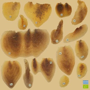 NEW Harvest Summer 2025 - The Art Of Bees Unique Organic Honeycombs - Decoration - Crafting DIY Projects