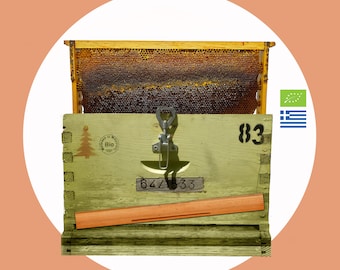 Raw Unprocessed Organic Beeswax Sheets Filled With Bio Honey (Sithonia Halkidiki)