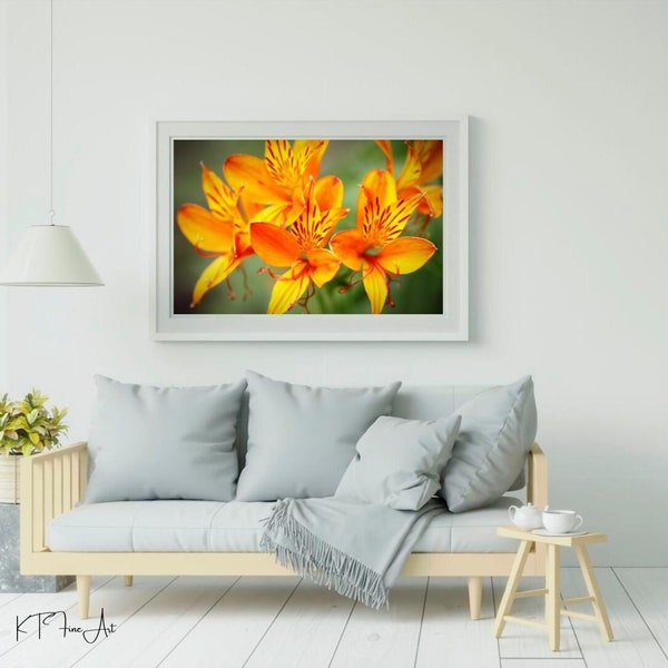 Fine Wall Art Etsy UK