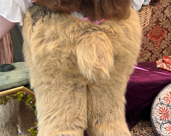The Lyra Faun Tail Digitales Muster