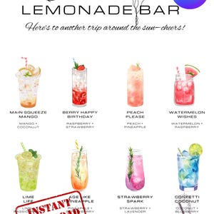 Bearbeitbares Geburtstags-Lemonade-Barschild-Set - Aquarell Signatur-Getränkekarte + Bastelanleitung | Geburtstags-Party-Getränke-Station