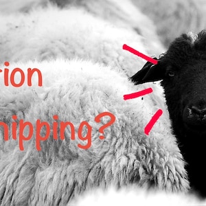 May include: A black sheep stands out in a flock of white sheep. Red lines radiate from the black sheep's head. The text "Did I Mention Free Tracked Shipping?" is written in red letters over the white sheep in the foreground of the image.