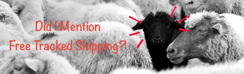 May include: A black sheep stands out in a flock of white sheep. Red lines radiate from the black sheep's head. The text "Did I Mention Free Tracked Shipping?" is written in red letters over the white sheep in the foreground of the image.