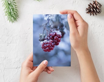 Frosty blackberries | Christmas Card | Nature Photography | digital download | printable | winter greeting card | Postcard