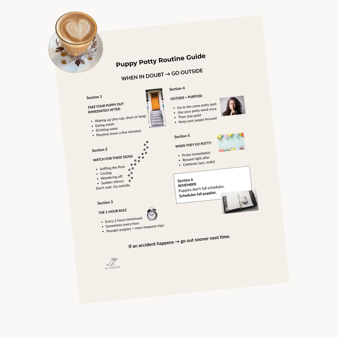 Puppy Potty Routine Printable | Simple Schedule for New Puppy Owners - Etsy