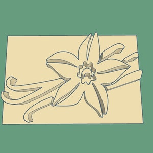 Vanilla Bean Stamp