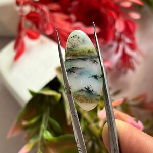 May include: An oval-shaped gemstone held by tweezers. The stone features a landscape design with white, blue, green, and black patterns. The gemstone's polished surface reflects light, showcasing its natural beauty and unique color variations.