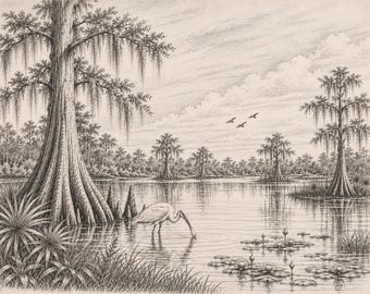 Florida Wetlands Wall Art  Vintage Wetlands Wall Print Cypress Pencil Sketch  Old Vintage Florida