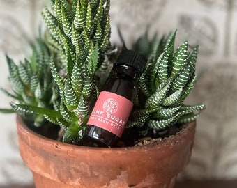 pink sugar type fragrance oil