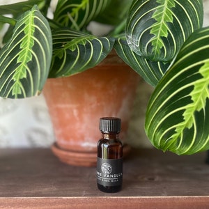 May include: A small brown glass bottle with a black cap and label. The label reads "Rare Vanilla Air Sign Oils". The bottle is sitting on a wooden surface in front of a potted plant with large green leaves.
