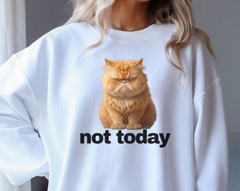 Funny Cat Sweatshirt, Ornery Cat Sweatshirt, Grumpy Cat Sweatshirt, Cat Lover Gift, Gift For Cat Mom, Gift For Her, Silly Cat Shirt