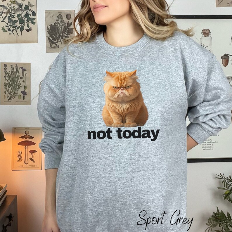 Funny Cat Sweatshirt Ornery Cat Sweatshirt Grumpy Cat - Etsy
