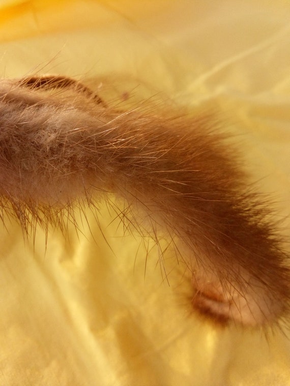 Woman's fur pillbox hat - image 3