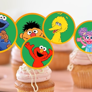 May include: Six cupcakes decorated with Sesame Street character toppers. The toppers are round and feature Elmo, Big Bird, Cookie Monster, Abby Cadabby, and Bert. The cupcakes have pink frosting and white drizzle.