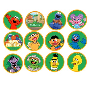 May include: Twelve round green and gold cupcake toppers featuring Sesame Street characters, including Elmo, Cookie Monster, Big Bird, and Oscar the Grouch. The toppers also include a sign that says "Manny" and a topper that says "Happy Birthday".