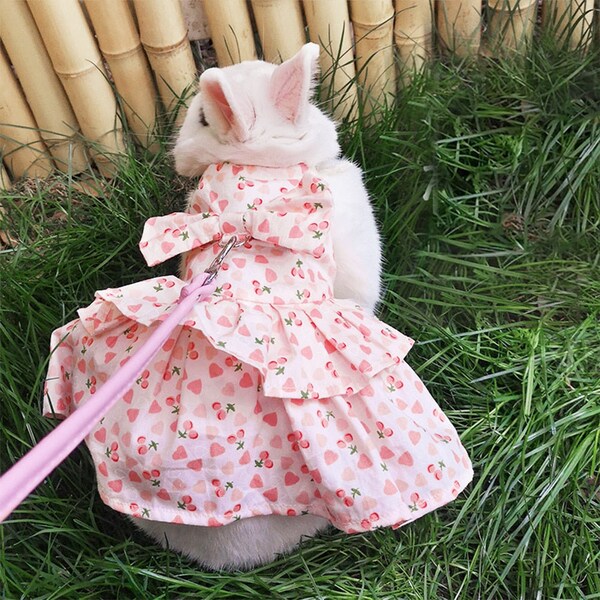 Bunny Princess Etsy