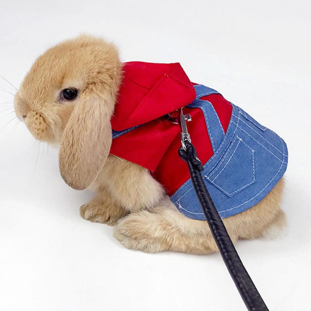Adorable Bunny Harness and Leash Cute Rabbit Harness Etsy