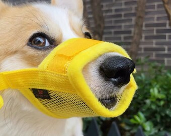 no bark muzzle small dogs