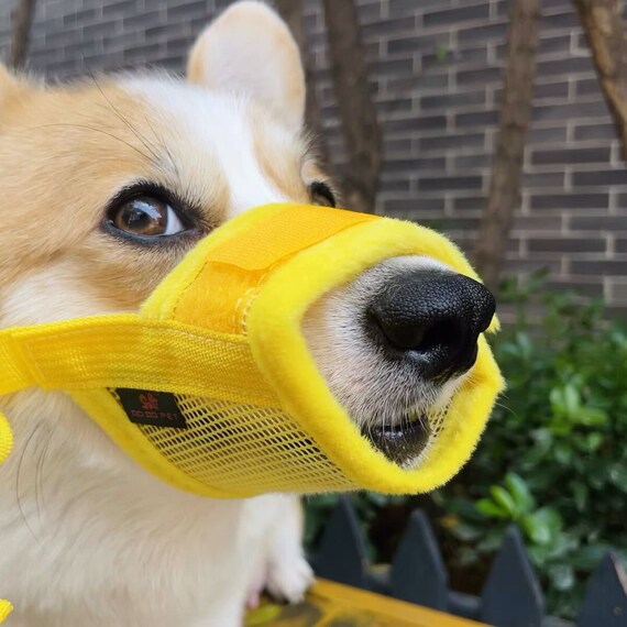 bark muzzle for large dogs