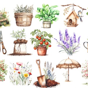 May include: Watercolor illustration of gardening tools and plants.  The illustration includes a lawnmower, a birdhouse, a watering can, a shovel, a pair of pruning shears, a potted tomato plant, a potted lavender plant, a potted strawberry plant, a potted herb plant, a potted leafy green plant, a cherry tree, a flowering tree, a flower patch, and a hanging herb plant.