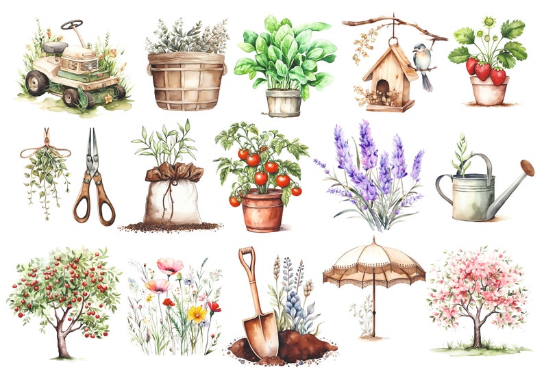 May include: Watercolor illustration of gardening tools and plants.  The illustration includes a lawnmower, a birdhouse, a watering can, a shovel, a pair of pruning shears, a potted tomato plant, a potted lavender plant, a potted strawberry plant, a potted herb plant, a potted leafy green plant, a cherry tree, a flowering tree, a flower patch, and a hanging herb plant.