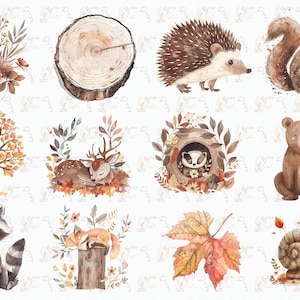 clipart d'automne aquarelle, lot de cliparts aquarelles de forêts d'automne, images de forêt d'automne, forêt mignonne, clipart d'animaux de la forêt, automne, bohème