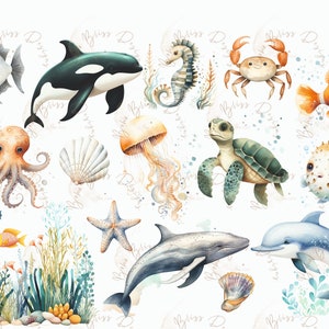 Clipart oceano, Clipart sotto il mare, Clipart acquerello animali marini, Clipart animali, Clipart creature marine carine png, squalo, balena, delfino, tartaruga