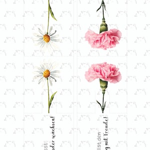 May include: A white background with a repeating pattern of small floral designs. The image features four floral illustrations: two daisies and two pink carnations. Text in German reads "l&auml;sst Kinder wachsen!" and "f&uuml;llst den Tag mit Freude!"