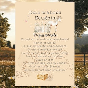 Wahres Zeugnis, Zeugnis Schulkind, Wertschätzendes Zeugnis, Lobendes Zeugnis, Motivationszeugnis,besonderes Zeugnis,Geschenk zum Abschluss