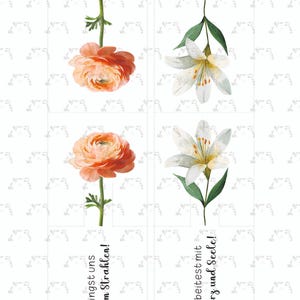May include: A floral design with a peach ranunculus and a white lily. The image includes German text: "bringst uns zum Strahlen!" and "arbeitest mit Herz und Seele!" The design is on a white background.
