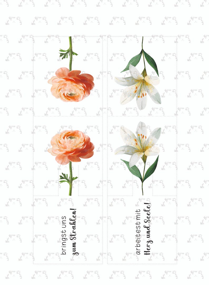 May include: A floral design with a peach ranunculus and a white lily. The image includes German text: "bringst uns zum Strahlen!" and "arbeitest mit Herz und Seele!" The design is on a white background.