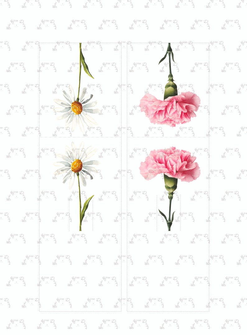 May include: A watercolour illustration featuring daisies and pink carnations. The daisies have white petals and yellow centres, while the carnations are a vibrant pink. The flowers are on green stems.